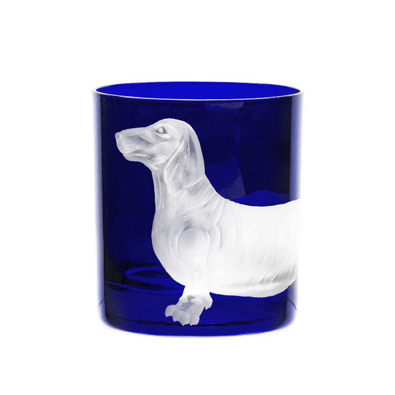 Dog Dachshund