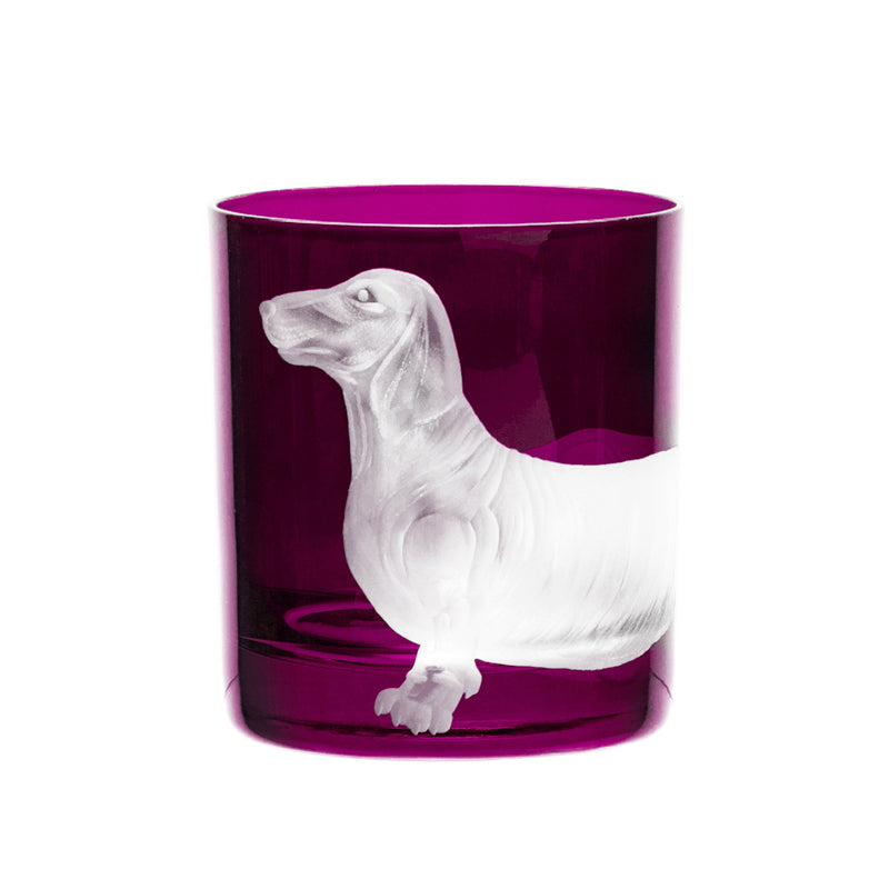 Dog Dachshund