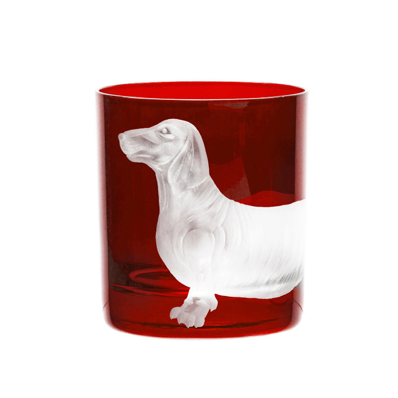 Dog Dachshund