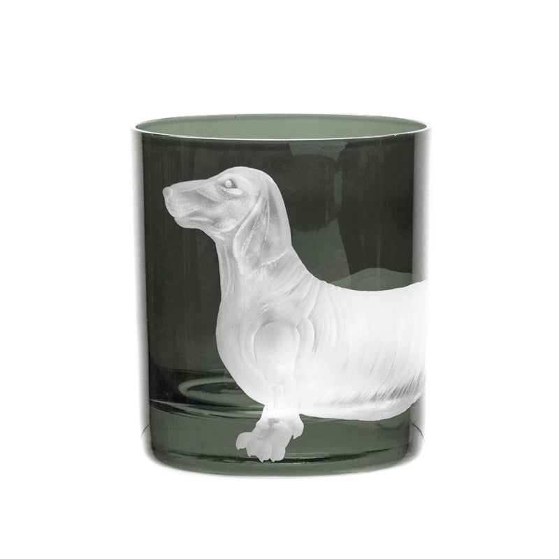 Dog Dachshund