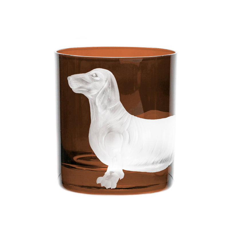 Dog Dachshund