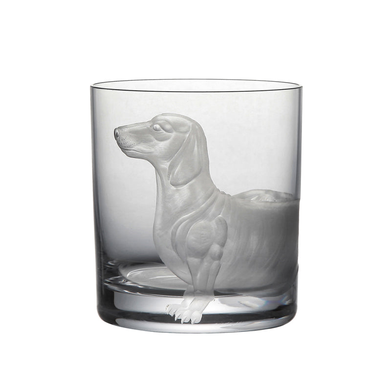 Dog Dachshund