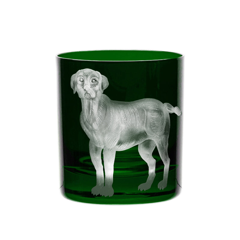 Dog Labrador