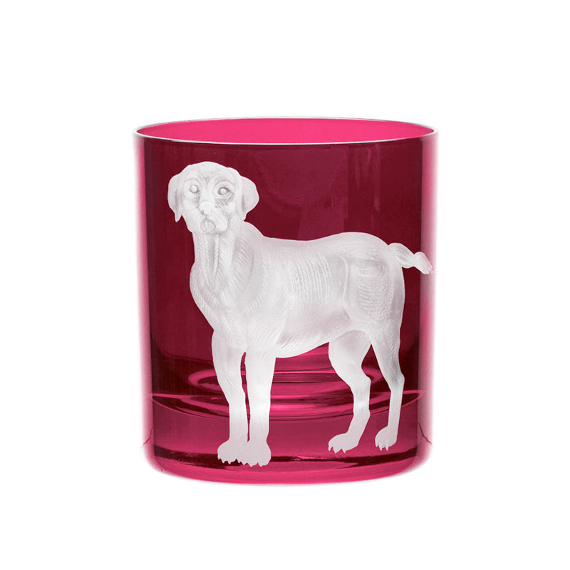 Dog Labrador