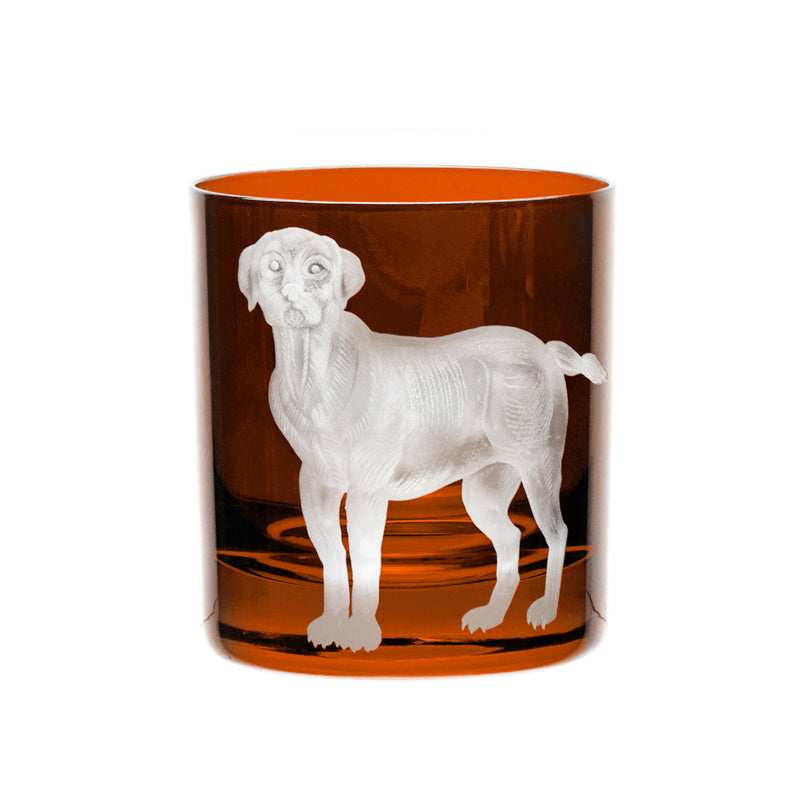 Dog Labrador