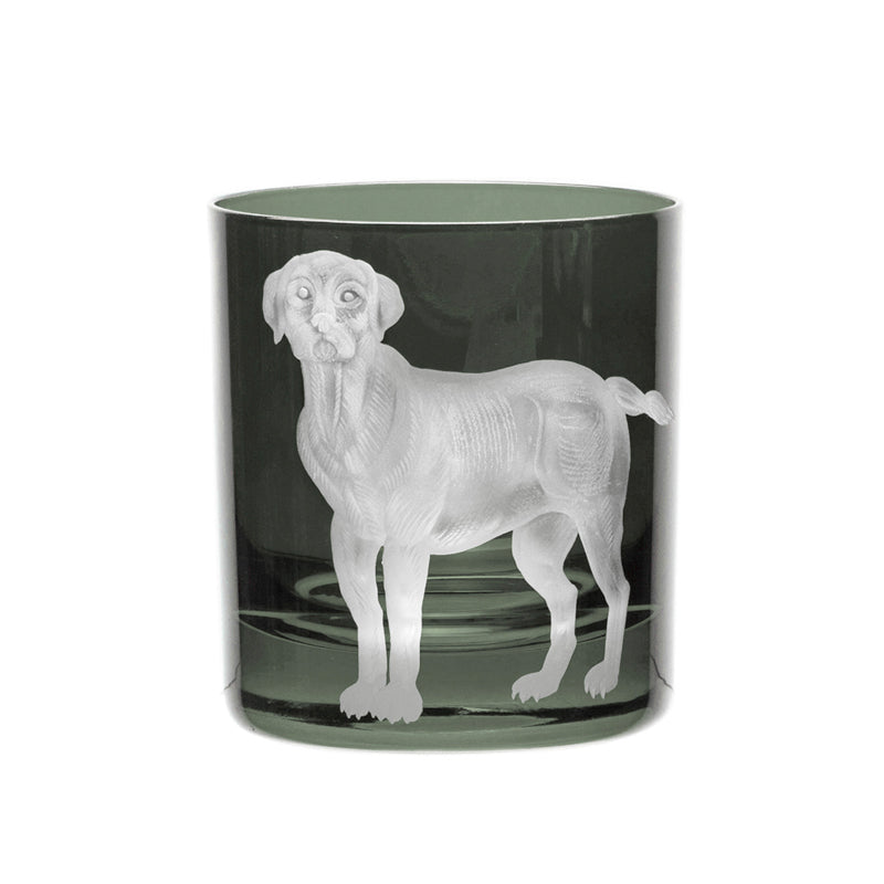 Dog Labrador