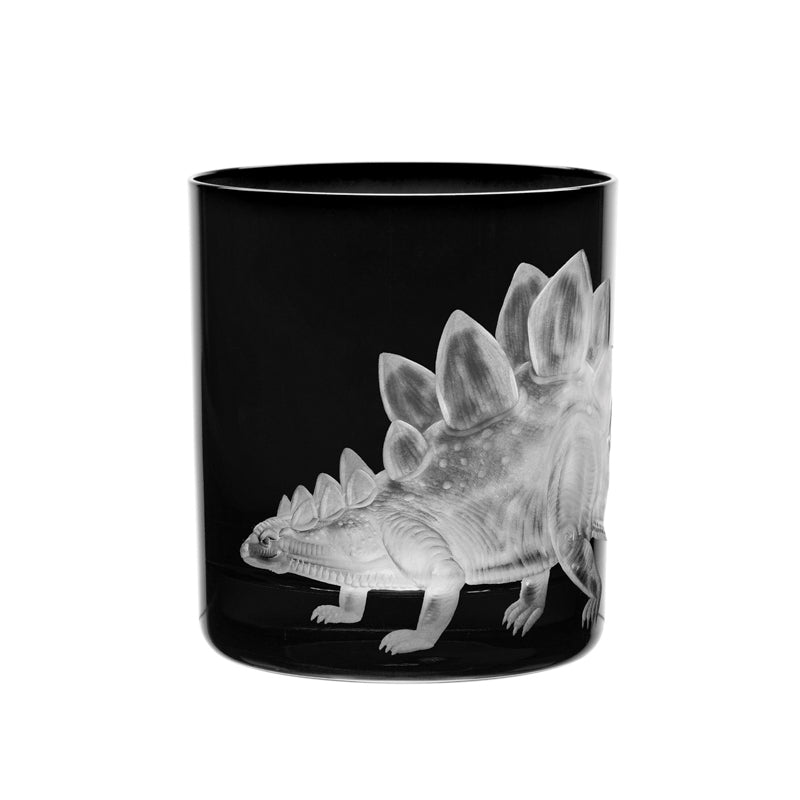 Dinosaur Collection 1 Stegosaurus