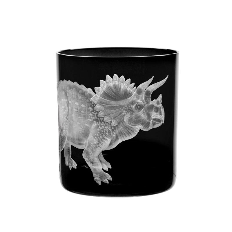 Dinosaur Collection 1 Triceratops