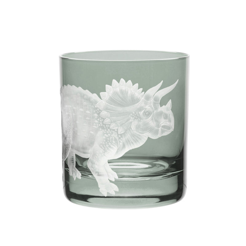 Dinosaur Collection 1 Triceratops