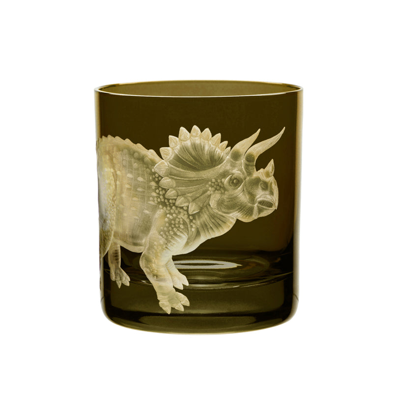 Dinosaur Collection 1 Triceratops