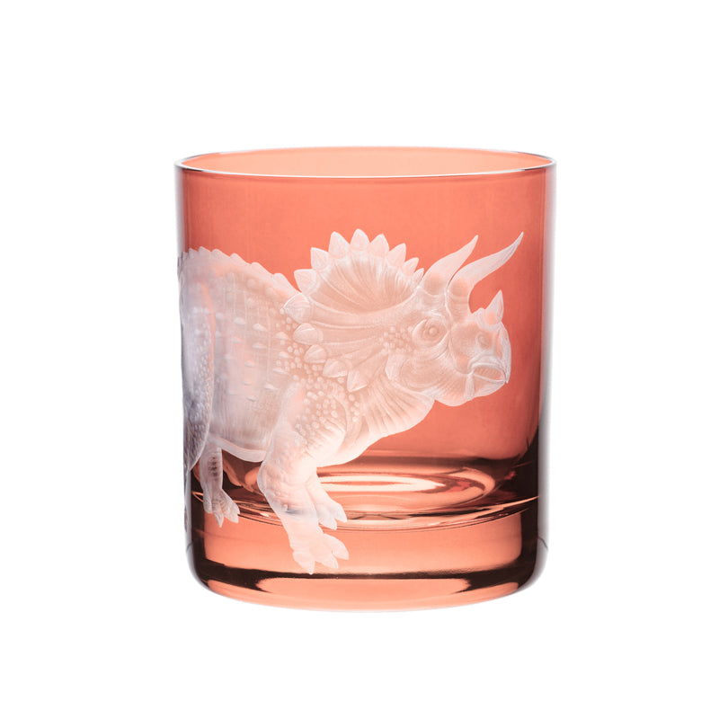 Dinosaur Collection 1 Triceratops