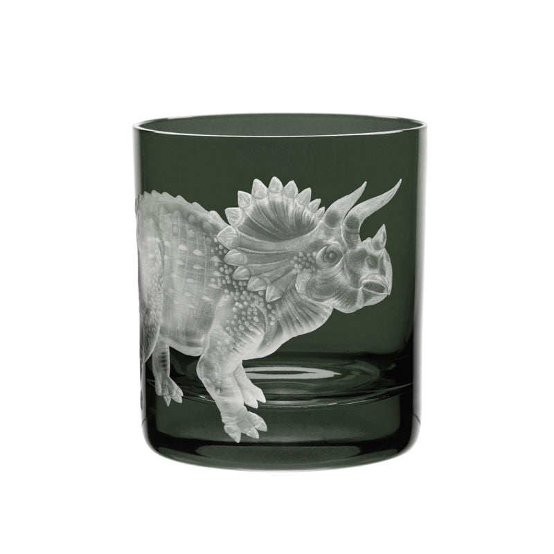 Dinosaur Collection 1 Triceratops