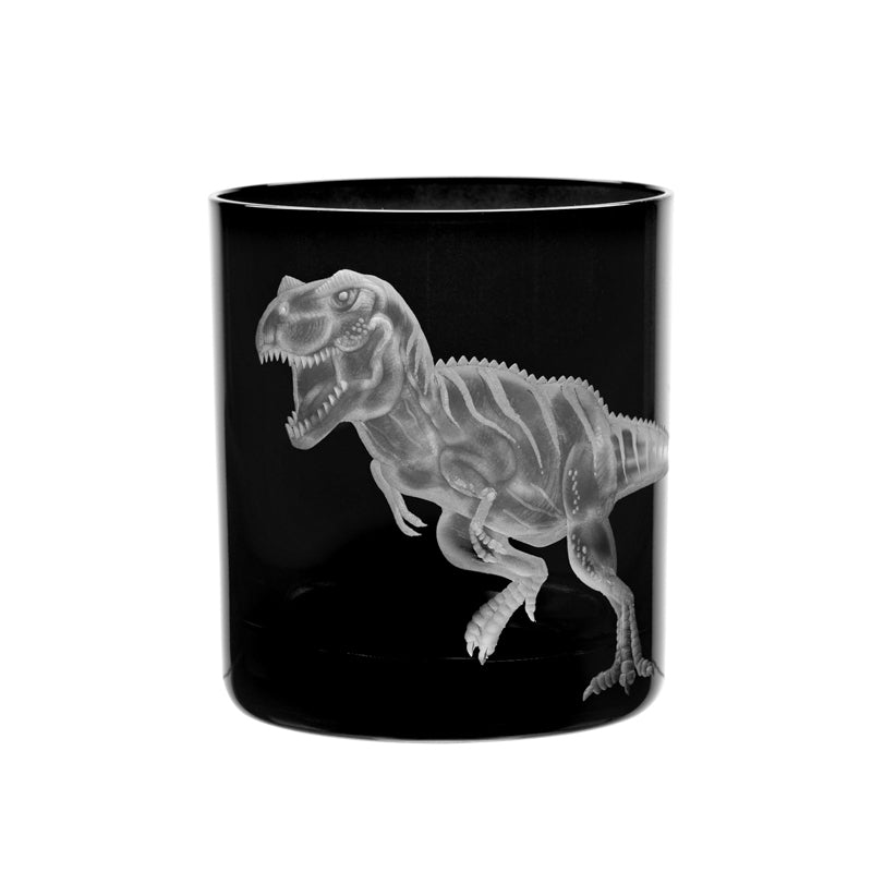 Dinosaur Collection 1 T-Rex