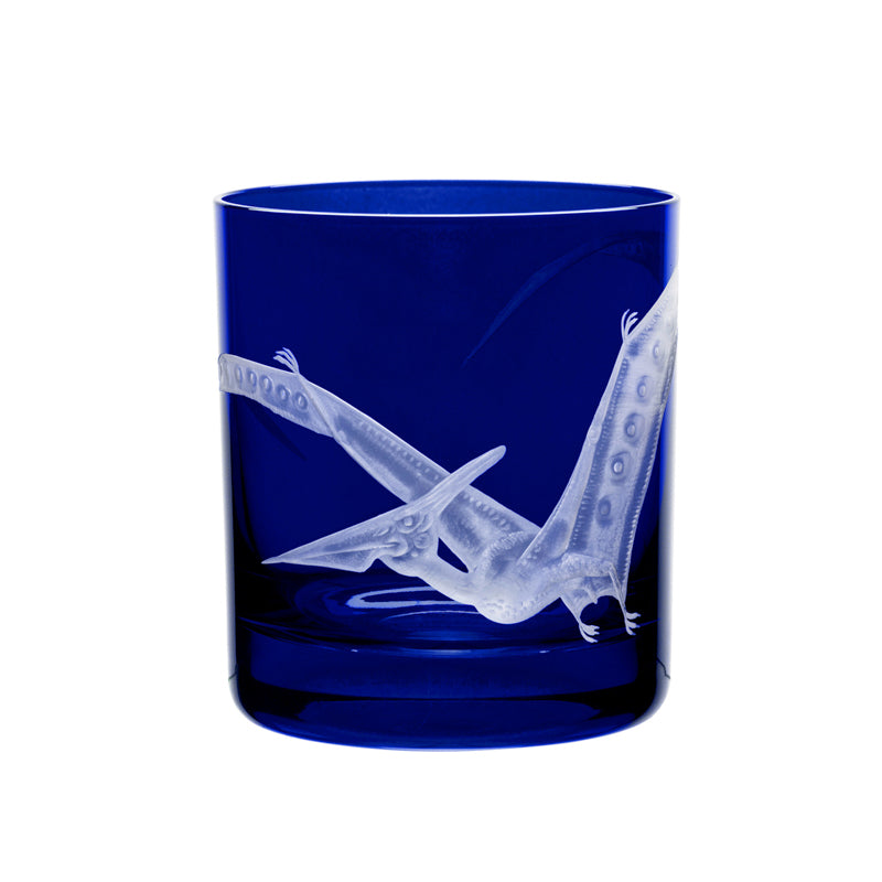 Dinosaur Collection 1 Pterodactyl
