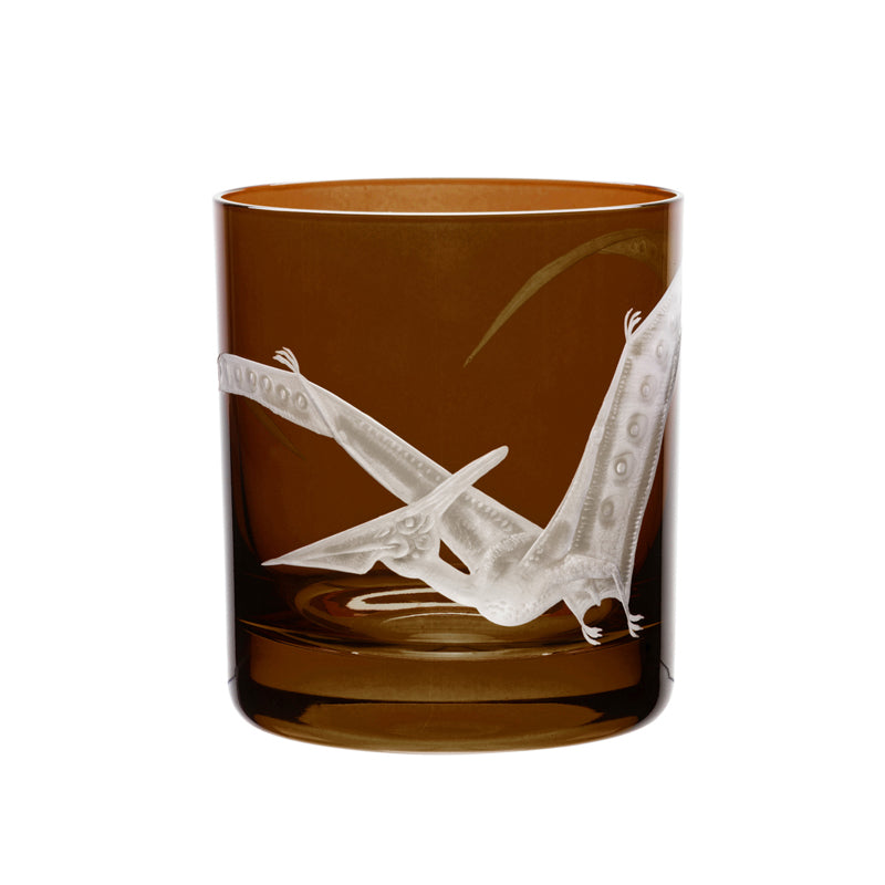 Dinosaur Collection 1 Pterodactyl