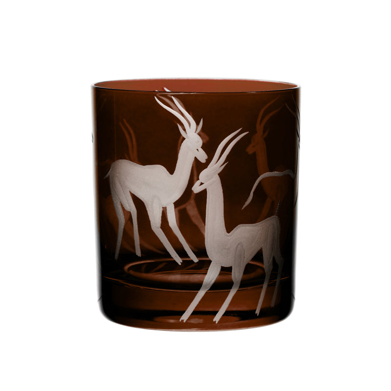 Safari Gazelles