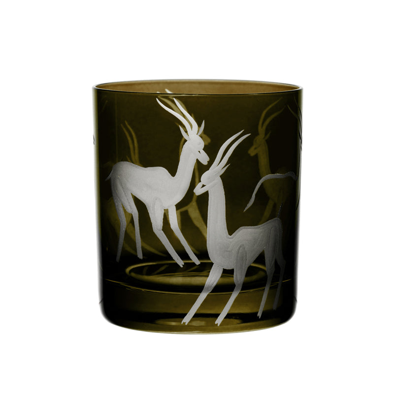 Safari Gazelles