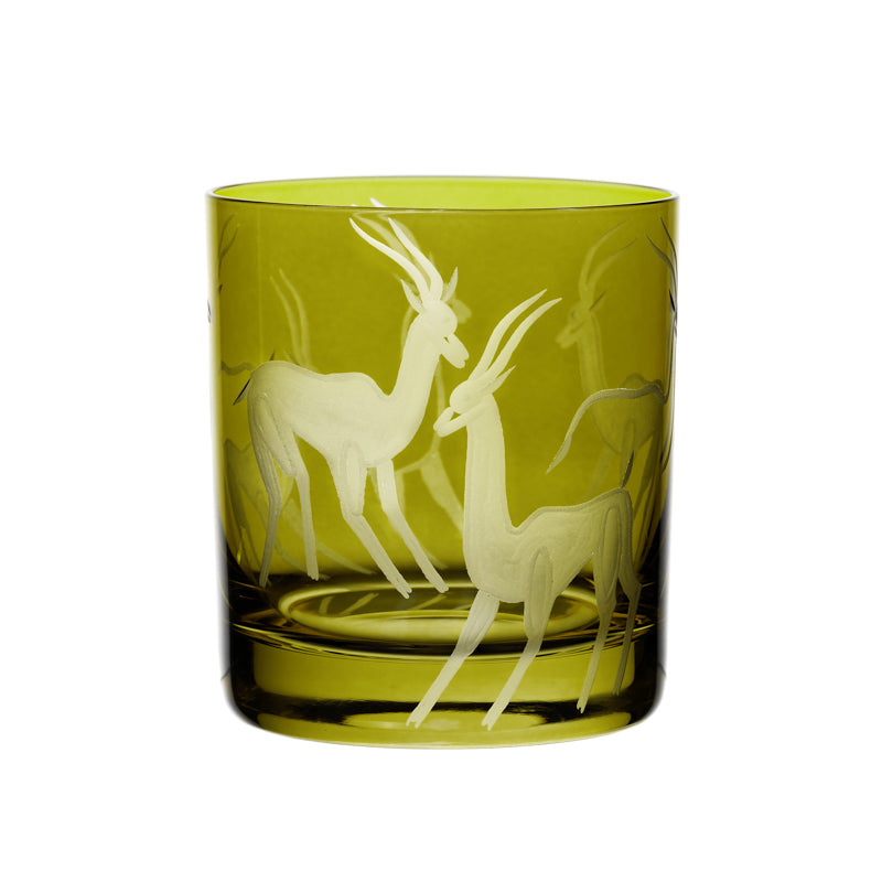 Safari Gazelles