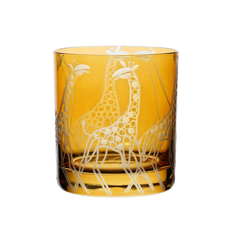 Safari Giraffes