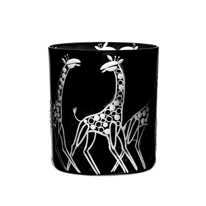 Safari Giraffes