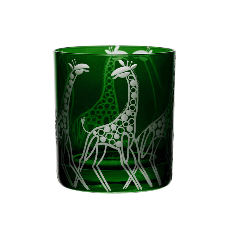 Safari Giraffes