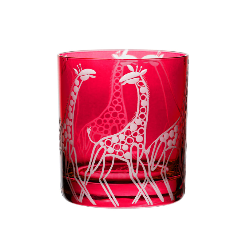 Safari Giraffes