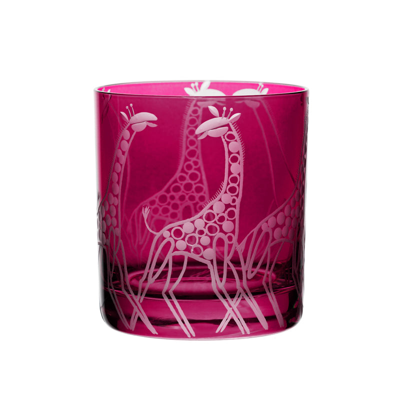 Safari Giraffes