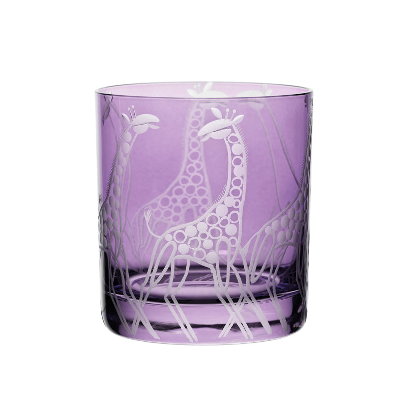 Safari Giraffes
