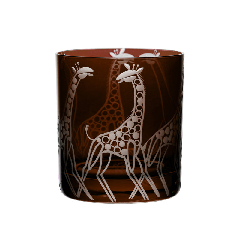 Safari Giraffes