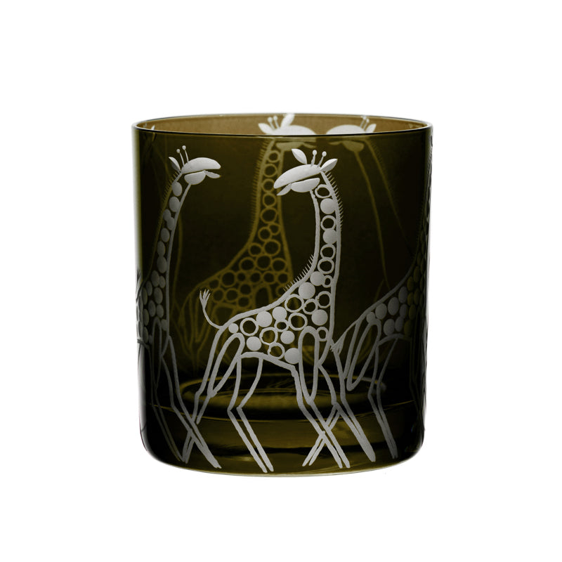 Safari Giraffes