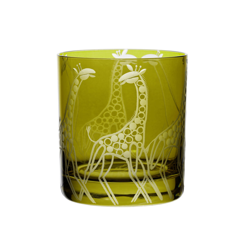 Safari Giraffes