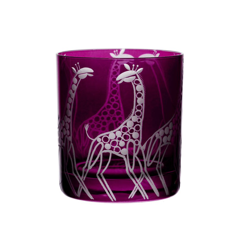 Safari Giraffes