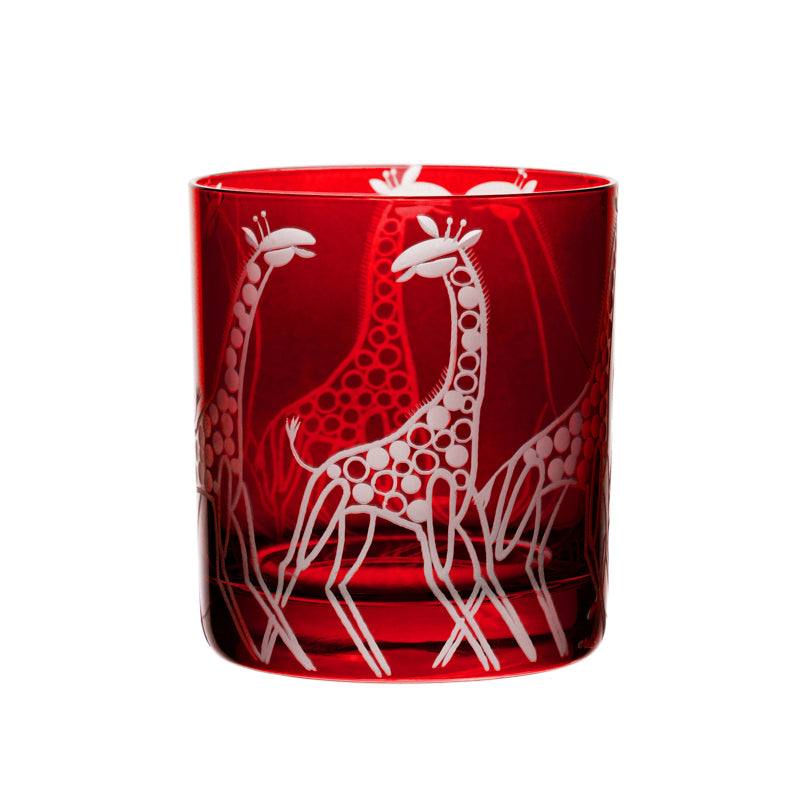 Safari Giraffes