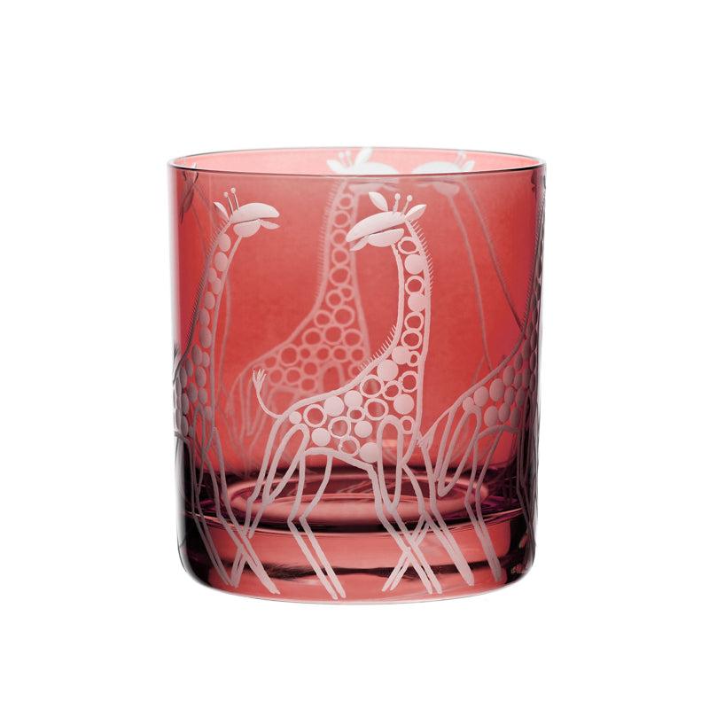Safari Giraffes