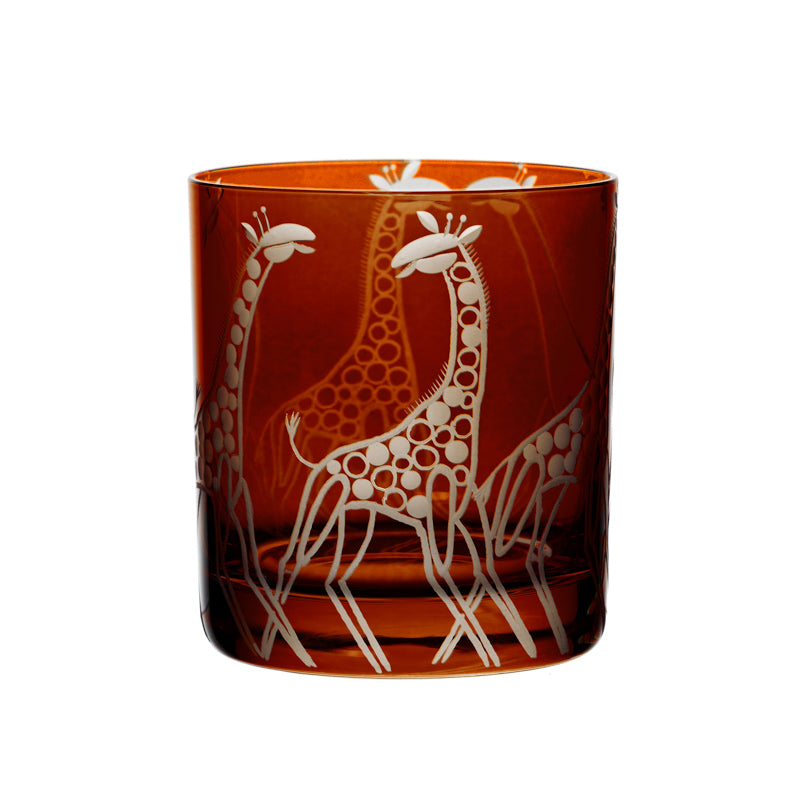 Safari Giraffes