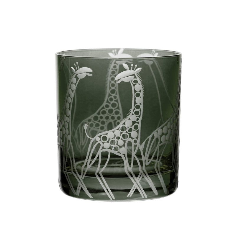 Safari Giraffes