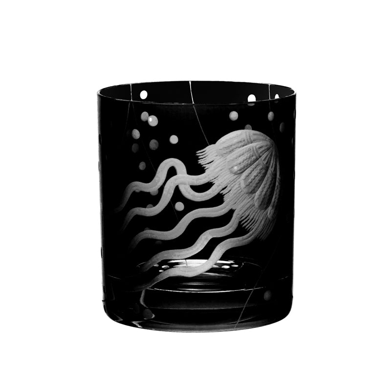 Sea Life Jellyfish