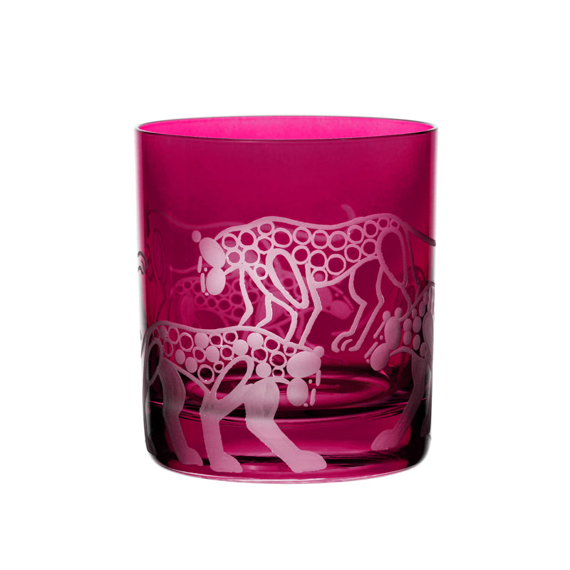 Safari Leopards