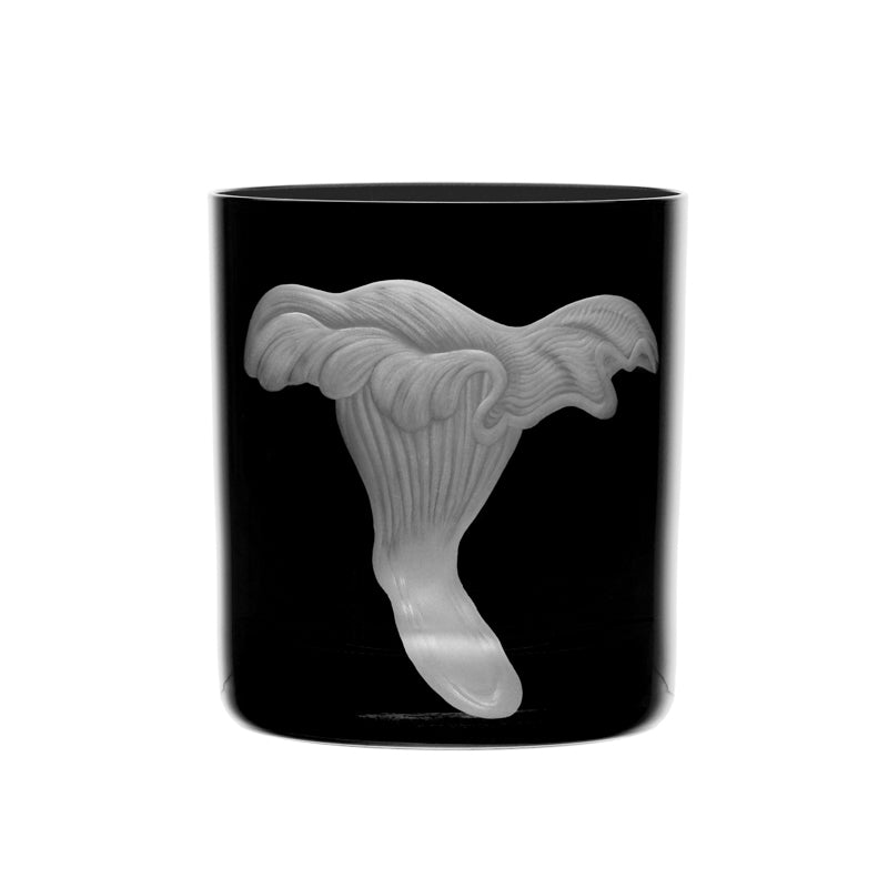 Mushrooms Chanterelle