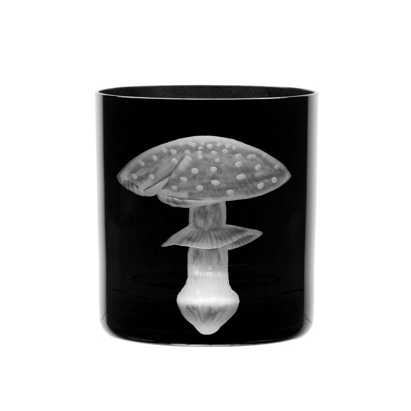 Mushrooms Fly Amanita