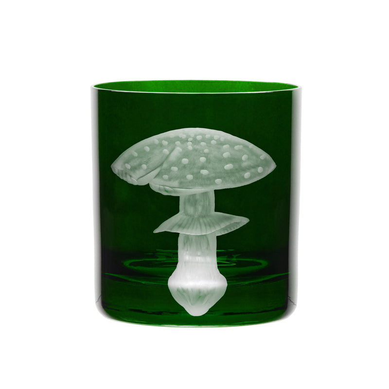 Mushrooms Fly Amanita