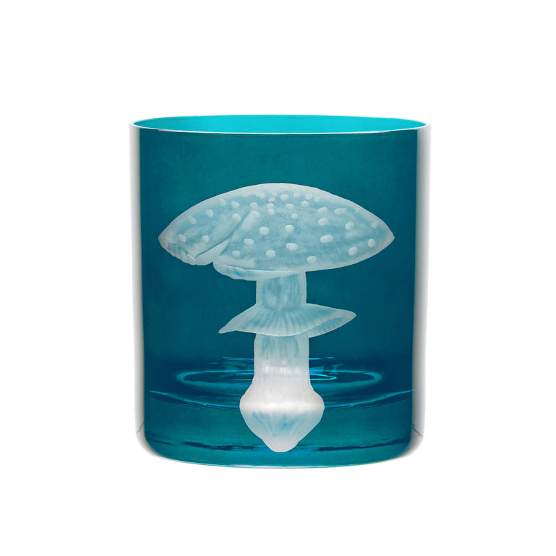 Mushrooms Fly Amanita