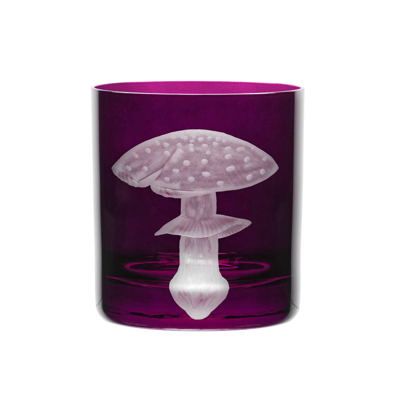 Mushrooms Fly Amanita