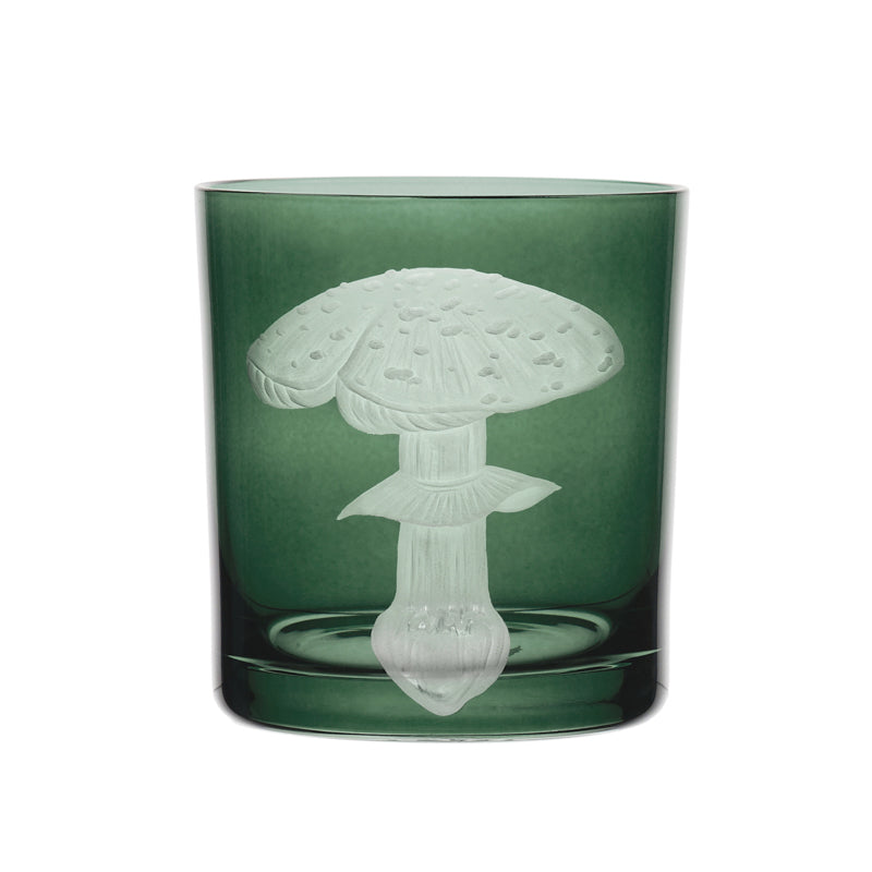 Mushrooms Fly Amanita