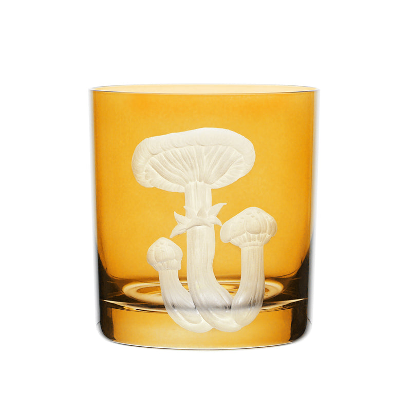 Mushrooms Honey Fungus