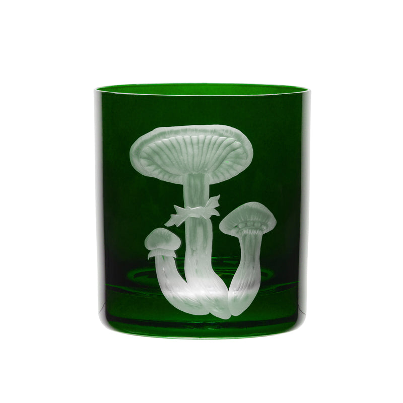 Mushrooms Honey Fungus