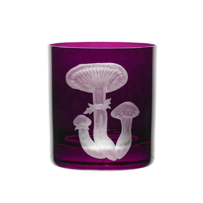 Mushrooms Honey Fungus