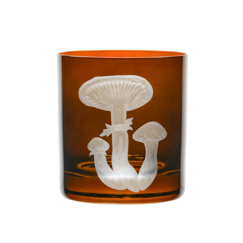 Mushrooms Honey Fungus