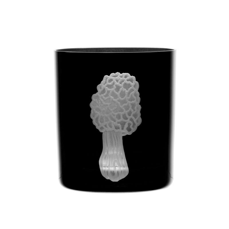 Mushrooms Morel
