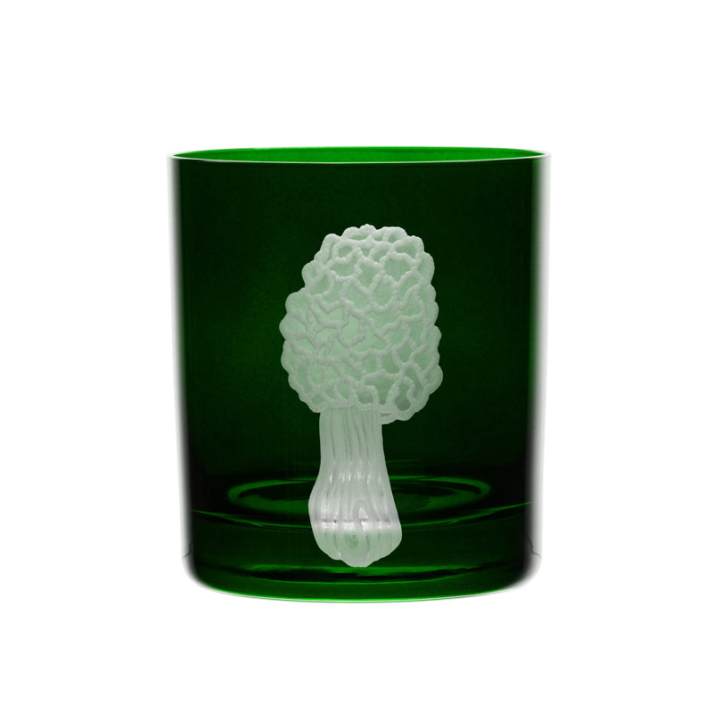 Mushrooms Morel